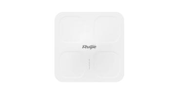 Ruijie RG-AP680P-L Outdoor Access Point