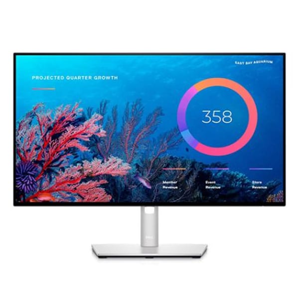 Dell UltraSharp 24" Full HD 60Hz Ultrawide IPS Monitor (U2422HE) main product photo